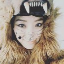 아이레벨트라움벨트 이미지