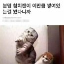 화성전자 이미지