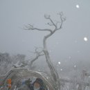 최초석탄발견지탑 | 초보산꾼 추억일기 - 태백산 : 주목이 피워낸 눈꽃사랑, 시리도록 아프다 (13년)
