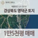 영덕군영덕읍창포보건진료소 | 경상북도 영덕군 영덕읍 토지 매매 (대부리 총 1만5천평) [매물번호 : LX-23232]