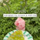 푸룻앤타르트 이미지