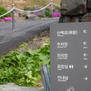 상화원한국컴퓨터 이미지