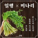대백카서비스 | 경산고기집 솥뚜껑 삼겹살 전문점 일행 사동점 방문 후기