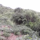 아빠농장 이미지