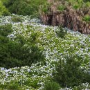 안성리-10 이미지