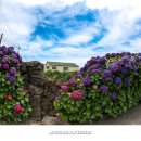 안성리-9 이미지