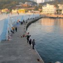 청사포 펜션 이미지