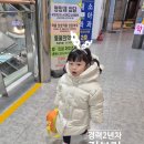 서초짐보리 | [강남짐보리] 약2년차 경력반 짐보리 32개월 VIP 회원후기