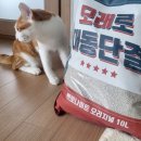 뉴트로연구소