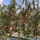 노산농장 이미지