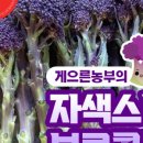 제주농부 이미지