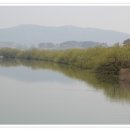 봉성리봄