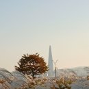 2025년 11월 3일 구리한강시민공원/2025년 11월 4일 덕현아파트의 은행 이미지