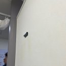 삼성메트로정형외과의원 이미지