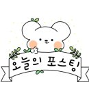 육쌤닷컴