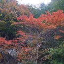 신불산온천 이미지