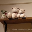 곰다방 이미지