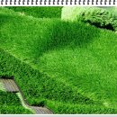 수안보생활체육공원 이미지