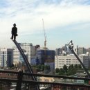 강아지마을2012 이미지