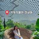 계곡농수산물상회 | 거제 식물원 정글돔 8월에 다녀온 후기 여름은 피하세요