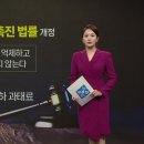 양말청년