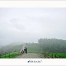 강인목장 이미지