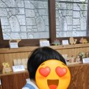 영양군 꽃차사회적협동조합 이미지