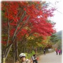 겨울아침창가에서 이미지