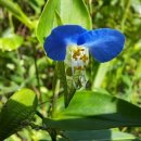 남방주유소 이미지