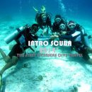 2014' The first Overseas Dive Travel - Finished book 이미지