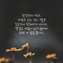 오늘의 小史 이미지