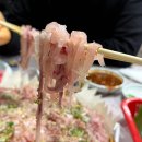 강씨횟집 네이버블로그