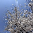 39 | 39주 출산 ! | 의정부 우먼피아 한원장님 유도분만 후기 (제왕 엔딩이었지만 졌잘싸,,!!