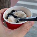 공차 신메뉴 밀크티 아이스크림 후기 🍦 펄까지 완벽!