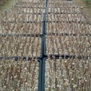 귀둔농장 이미지