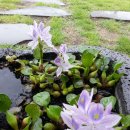 해넘이달렌탈하우스 이미지