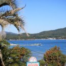 그리즐리남해키즈풀빌라B | 남해 가족숙소, 그리즐리키즈풀빌라 후기