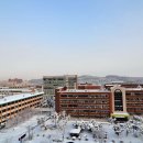 전북대학교 이미지