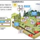 [기후위기 적응] 6. 기후위기와 산림의 적응