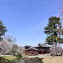 (주)삶은여행 | 오사카 여자 혼자여행 후기