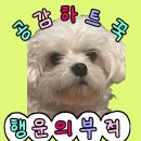 흥부삼계탕.부대찌개