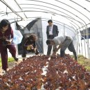 정옥농장 이미지