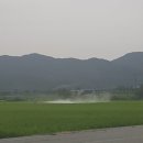 탐진사인마을 이미지