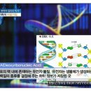 [사람 속으로] 미국 최고 암병원 MD앤더슨 종신교수 김의신 강의 내용 이미지