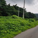 하남-신장-신장9호 이미지