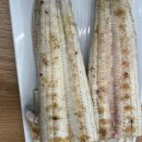 안성 힘찬 풍천 장어