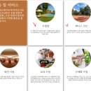 친환경펜션민박 | 신혼여행_농가민박 예약하기(Tenute di Pecille)