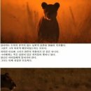 사자킹 이미지