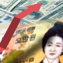 지아이무역