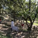 오르농장 이미지